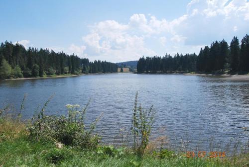 Hostal Guesthouse Waldfrieden Buntenbock