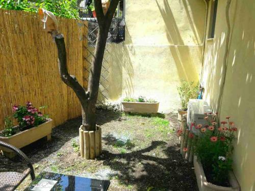 Apartamento Anesi Rooms To Rent
