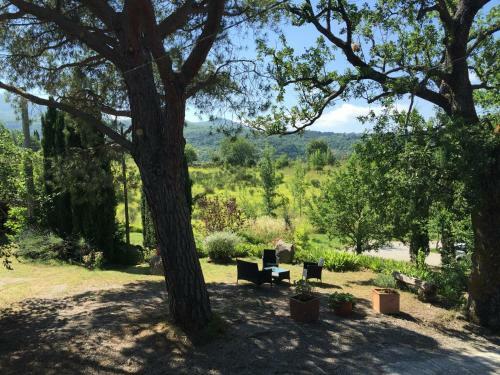 Bed & Breakfast Podere Pinzicalari