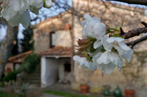 Bed & Breakfast Podere Pinzicalari