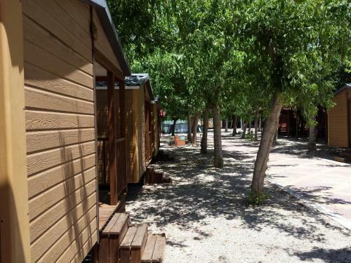 Hotel Camping L'alqueria