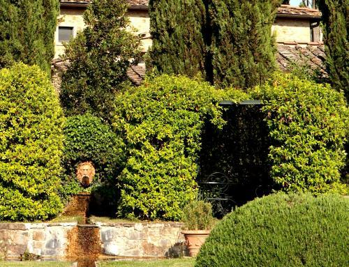 Agroturismo Il Borghetto Country Inn