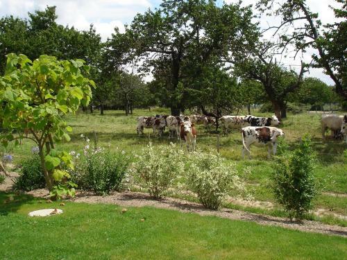 Bed & Breakfast Chambres D'h�tes Au Temps Des Cerises