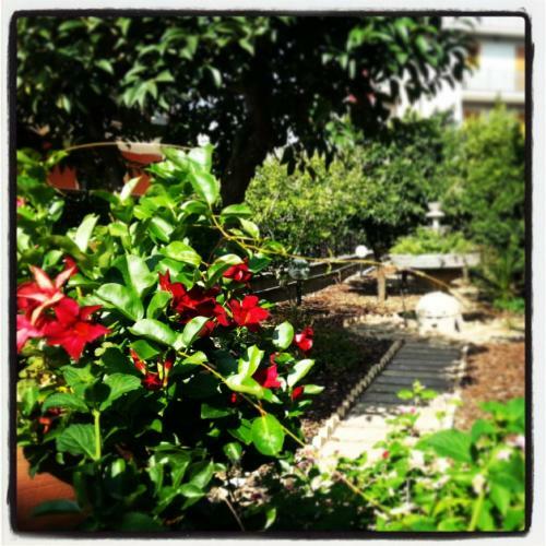 Apartamento Villa Franca Mini Appartamenti