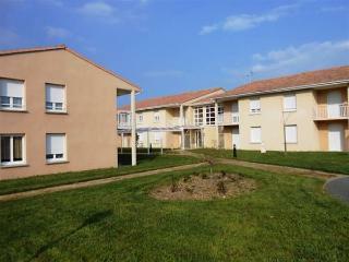 Apartamento Appart-hotel Le Patio D'argenton
