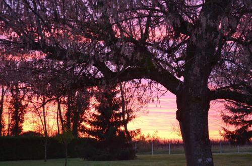 Bed & Breakfast Chambres D'h�tes La Pr�v�t�