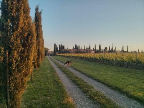 Agroturismo Argiano Posta L'orciaia