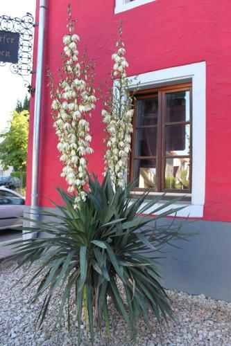 Hotel Restaurant Hochdorfer Hirschen