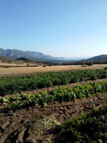 Agroturismo Agriturismo Il Ginepro