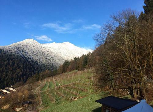 B&B La Marmotta