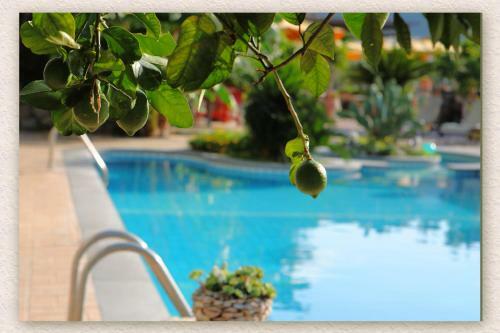 Bed & Breakfast Villa Ketty Resort