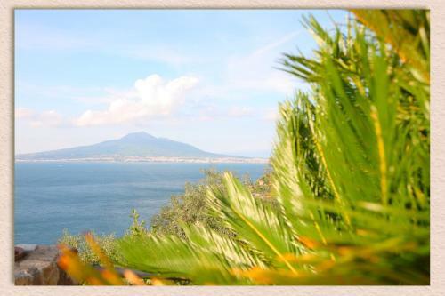 Bed & Breakfast Villa Ketty Resort