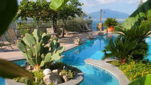 Bed & Breakfast Villa Ketty Resort