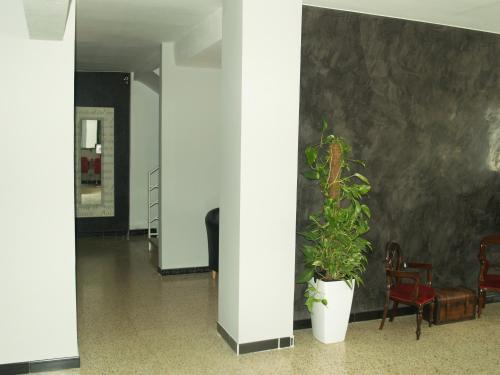 Hotel Mi�o