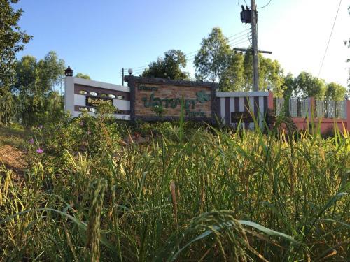 Hostal Plyna Resort