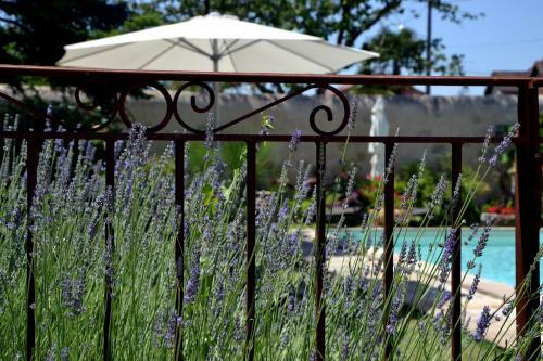 Bed & Breakfast La Baguenaude