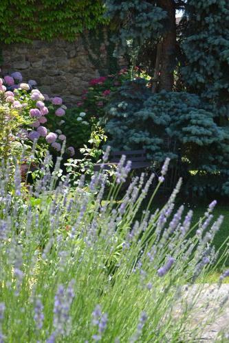 Bed & Breakfast La Baguenaude
