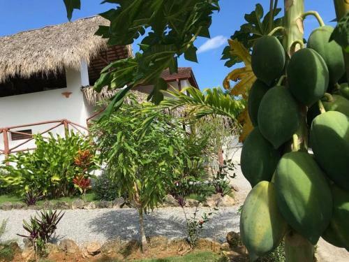 Bed & Breakfast La Casa De Sergio Y Cristina