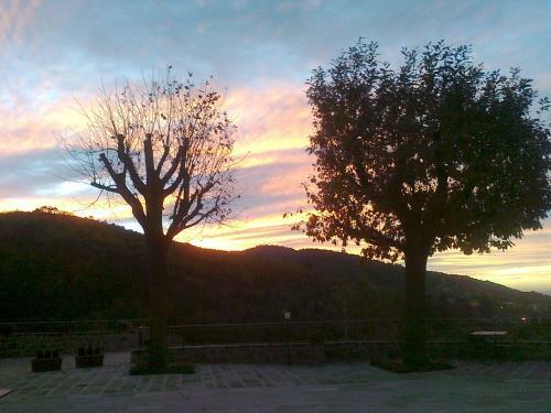 Agroturismo La Pietra Piana B&B