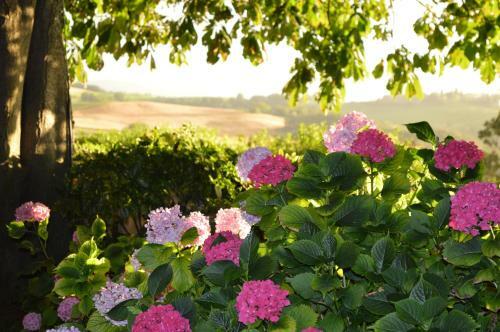 Agroturismo Agriturismo Cavazzone