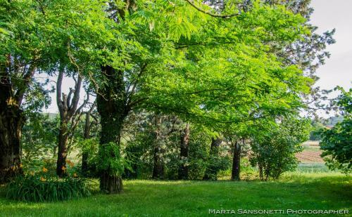 Agroturismo Podere San Giuliano