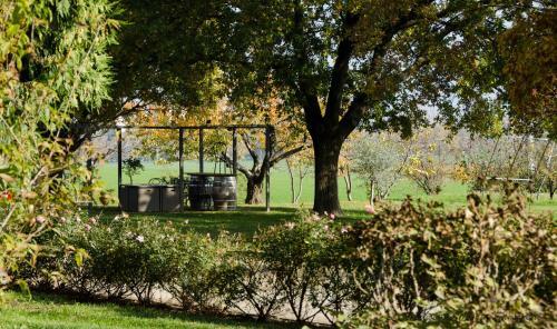 Agroturismo Podere San Giuliano