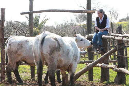 Agroturismo Agriturismo Le Tore