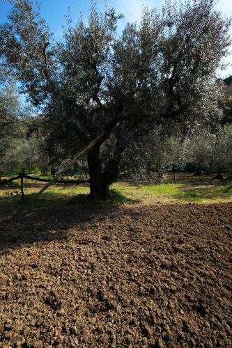 Agroturismo Agriturismo Le Tore