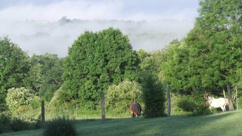 Bed & Breakfast Chambres D'h�tes Le Foursou