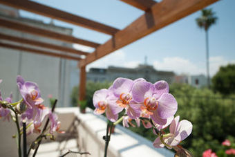 Hostal A San Domenico N 80