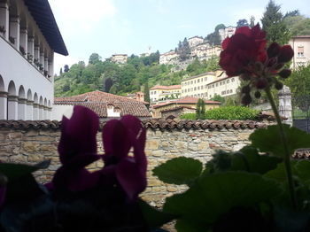 B&B Agnese Bergamo Old Town Charme