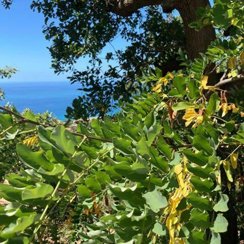 Bed & Breakfast Casale Tiano