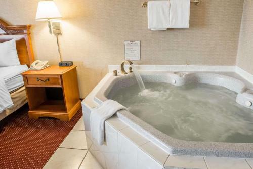 Hotel Comfort Inn Meadowlands