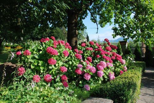 Hostal Pension Salvatorianerinnen