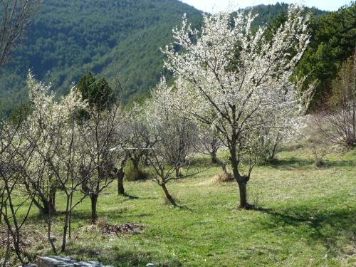 Hostal Maison D'h�tes La Honas
