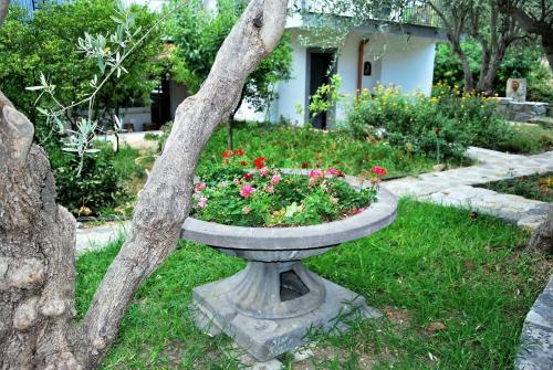 B&B Terre Di Sicilia