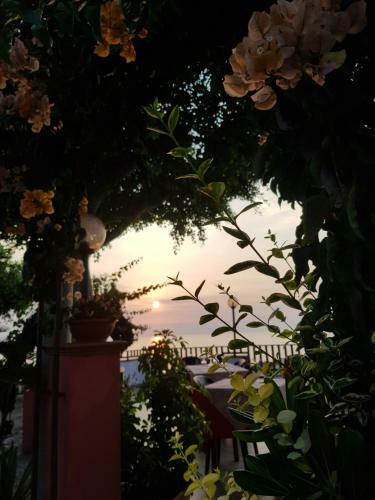 Hostal Affittacamere San Carlo