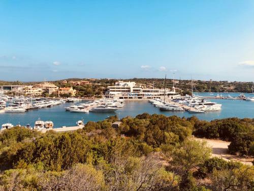 Exclusive Marina Apartment Porto Cervo