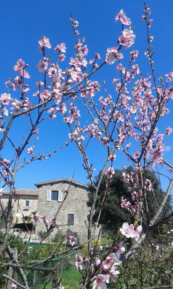 Agroturismo Podere San Quirico