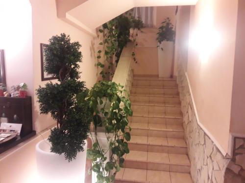 Bed & Breakfast Villa Corallo Dell'etna