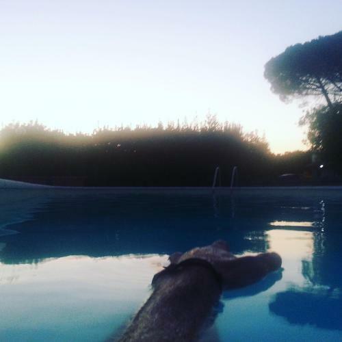 Agroturismo Agriturismo Casale Zuccari