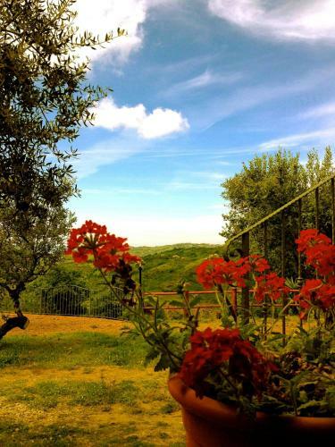 Agroturismo Villa Nigro