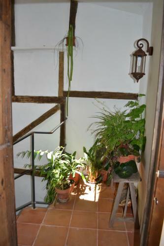 Agroturismo Casa Rural La Azotea