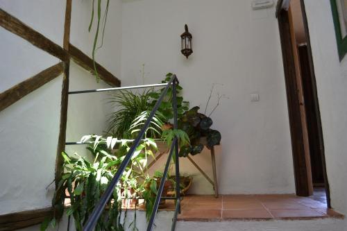 Agroturismo Casa Rural La Azotea