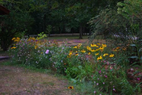 Bed & Breakfast Chambres D'h�tes La T�oul�re