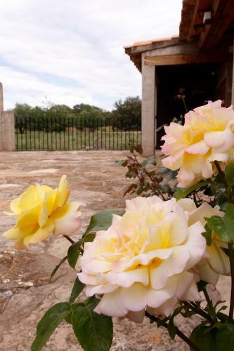 Agroturismo Casa Rural Mas De Sant Pau