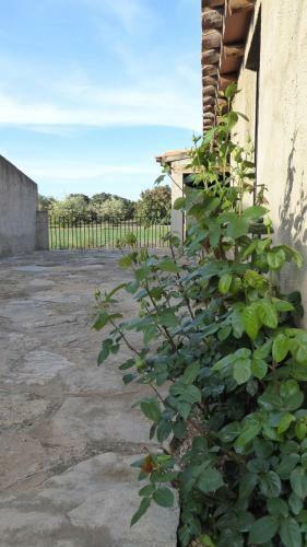 Agroturismo Casa Rural Mas De Sant Pau