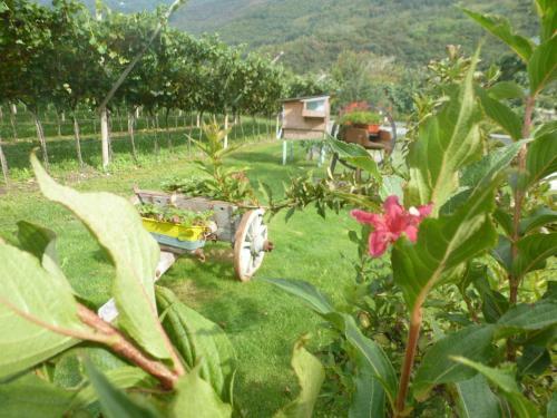 Agroturismo Agritur Maso Fontane