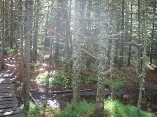 Ball Benas Apartamentos