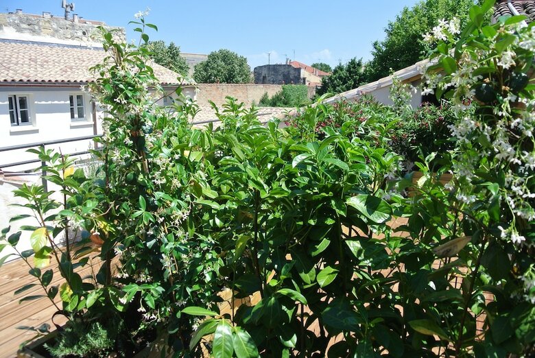 Apartamentos Aux Augustins